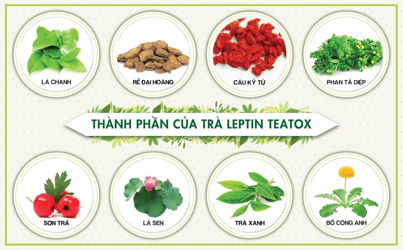 Leptin Teatox được chiết xuất từ những loại thảo dược tự nhiên